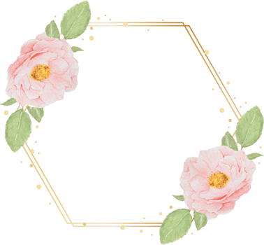 beautiful pink watercolor english roses with golden frame png