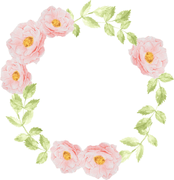 watercolor pink rose bouquet wreath frame for banner or logo png