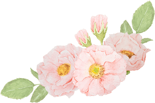 watercolor pink rose flower bouquet png