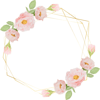 hand draw watercolor pink roses with golden frame wreath png