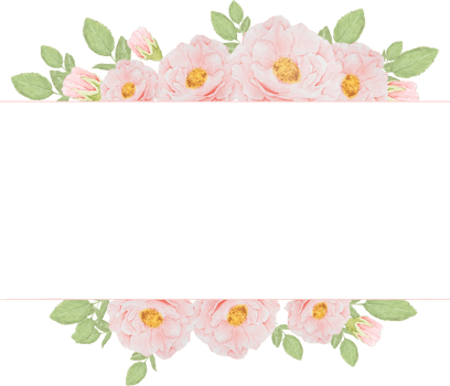 watercolor pink rose bouquet on square frame for banner or logo png