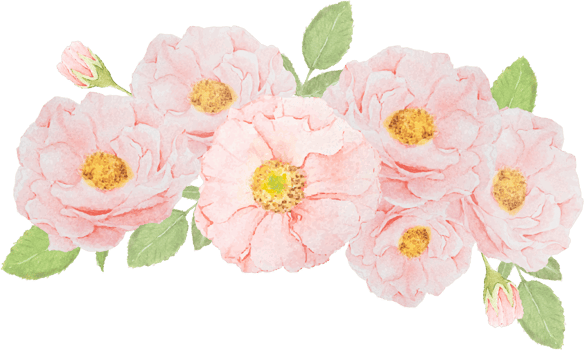 watercolor pink rose flower bouquet png