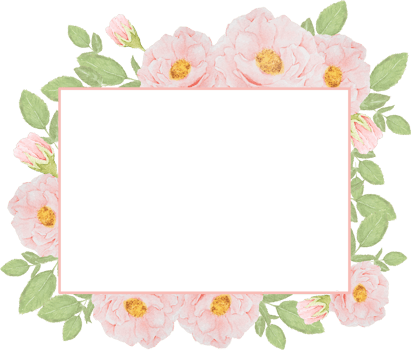 watercolor pink rose bouquet on square frame for banner or logo png