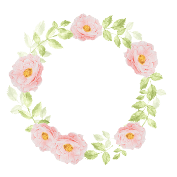 watercolor pink rose bouquet wreath frame for banner or logo png