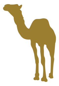 Camel Silhouette for Logo, Pictogram, Website, Apps, Art Illustration or Graphic Design Element. Format PNG