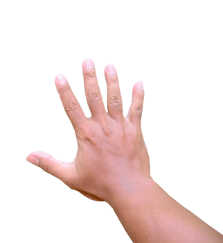hands of the person png