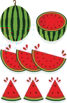 Watermelon Illustration Set vector