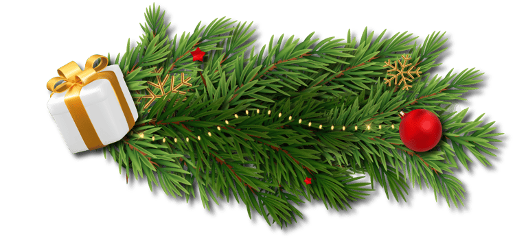 Christmas Green Fir Decaration png