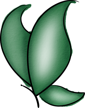 butterfly water color png