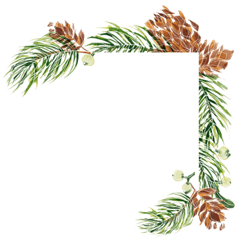 Christmas watercolor frame with winter plants png
