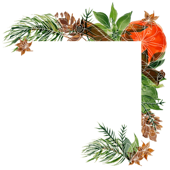 Christmas watercolor frame with pine and poinsettia and orange png