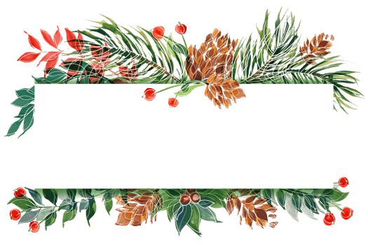 Christmas watercolor pine and holly and winter plants png