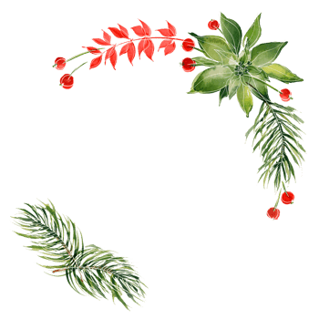 Christmas floral round frame with ale branches and poinsettia png