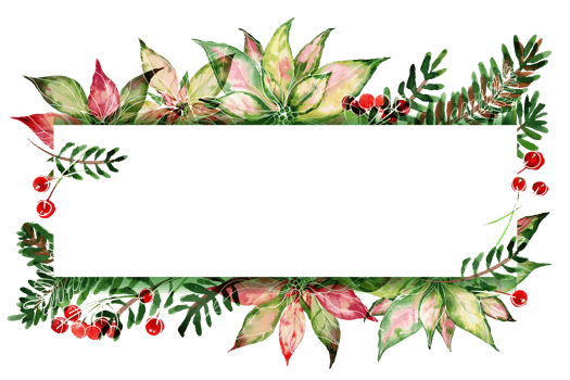 Christmas text space frame with watercolor poinsettia and ale png