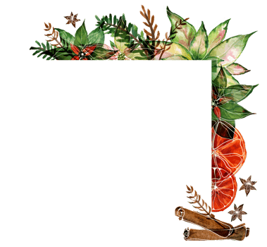 Christmas text space coner frame with watercolor poinsettia and ale and spices png