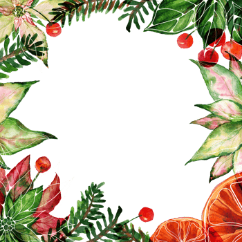 Christmas text space square frame with watercolor poinsettia and oranges and red berries png