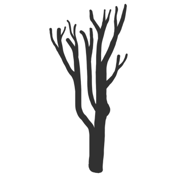 Hand drawn naked tree silhouette png