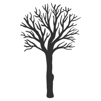Hand drawn naked tree silhouette png