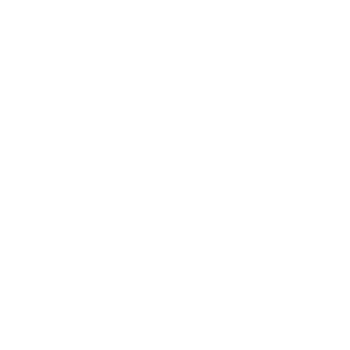 white snowflake icon png