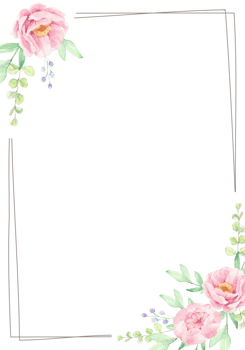 pink rose and peony flower bouquet wreath with frame png