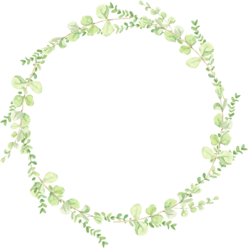 watercolor green eucalyptus leaves circle wreath frame png