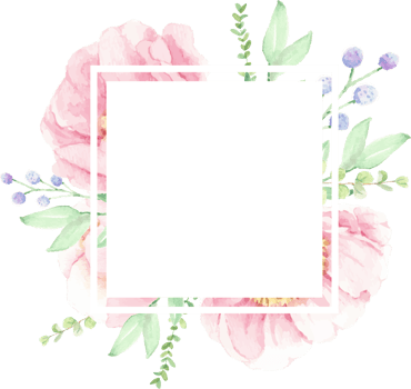 watercolor pink peony flower bouquet arrangement wreath frame png