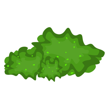 Green bush in cartoon style. Shrub green garden hedge. Summer landscape nature. Colorful PNG illustration.