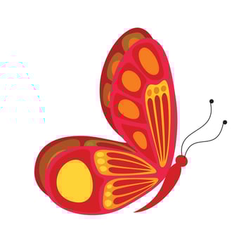butterfly animal vector illustration icon image