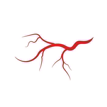 Human veins and arteries illustration vector