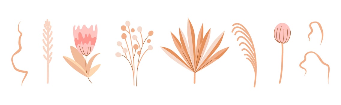 Beige dried flowers and plants. Boho-style decor. Wedding decor. Pink flowers. Herbarium and leaves vector