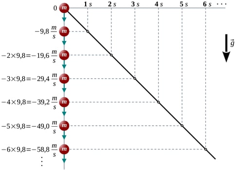 Free Fall - Velocity vs.Time Graphs vector