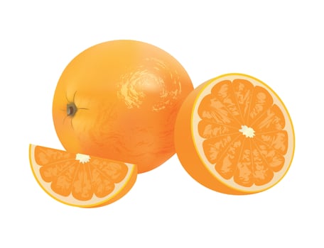 Vector illustration of Realistic orange