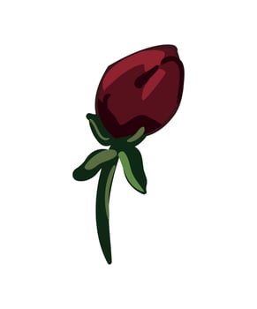 Vector illustration Flower