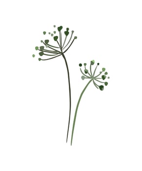 Vector illustration Flower