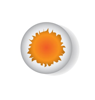 broken egg shell vector