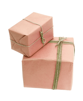 Brown Christmas gift png