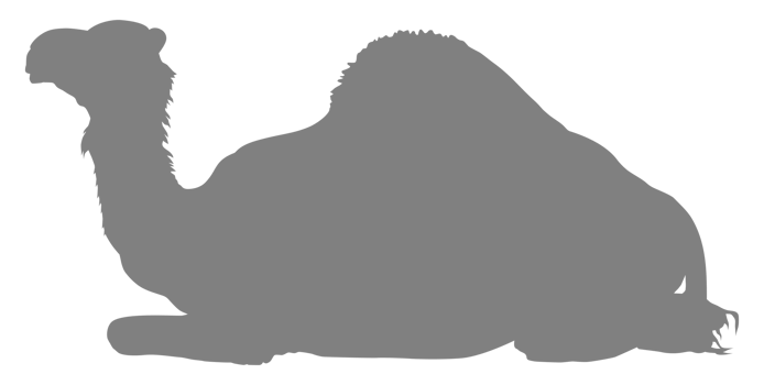 Camel Silhouette for Logo, Pictogram, Website, Apps, Art Illustration or Graphic Design Element. Format PNG