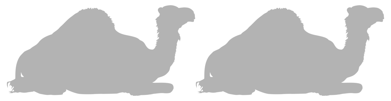 Camel Silhouette for Logo, Pictogram, Website, Apps, Art Illustration or Graphic Design Element. Format PNG