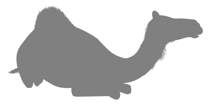 Camel Silhouette for Logo, Pictogram, Website, Apps, Art Illustration or Graphic Design Element. Format PNG