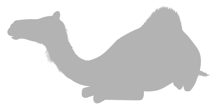 Camel Silhouette for Logo, Pictogram, Website, Apps, Art Illustration or Graphic Design Element. Format PNG