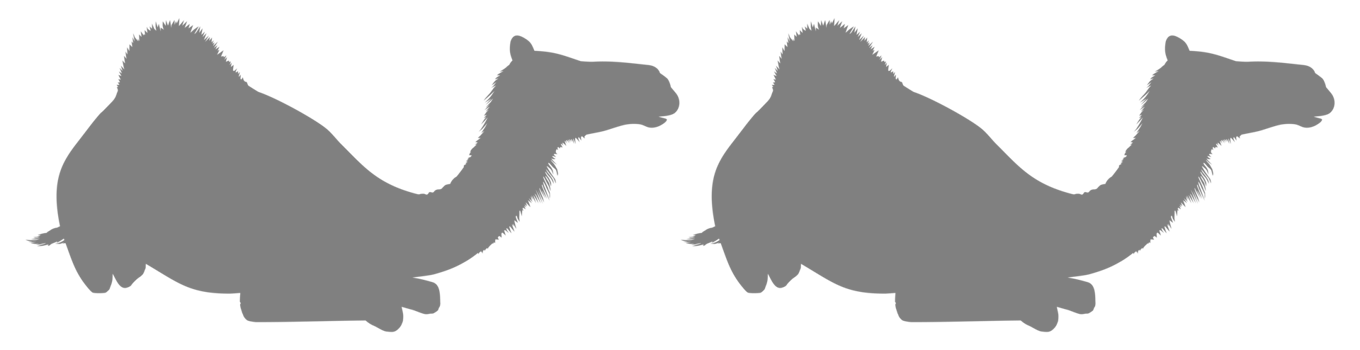 Camel Silhouette for Logo, Pictogram, Website, Apps, Art Illustration or Graphic Design Element. Format PNG