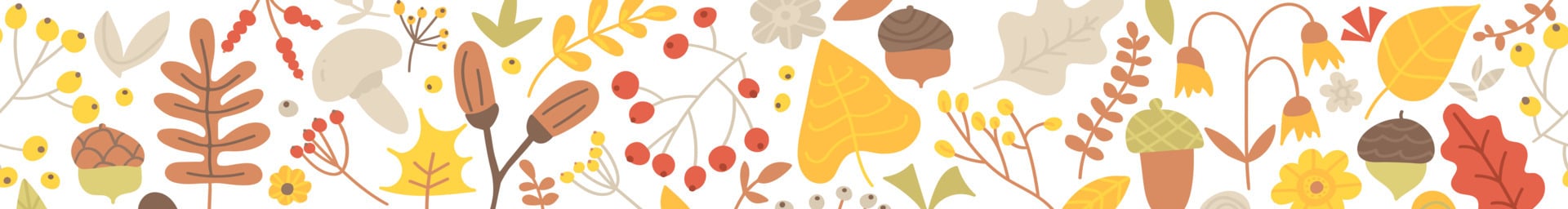 Vector border of hand drawn leaves, acorns, branches and berries. Seamless pattern with cute doodle plants. Fall horizontal botanical banner, autumn illustration, seasons. Thanksgiving and Harvest Day
