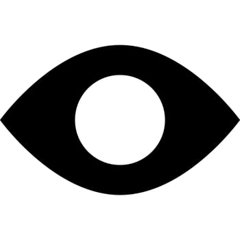 Eye Vision Monitor Look Observe clip art icon vector