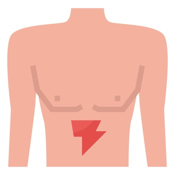 stomach clip art icon vector
