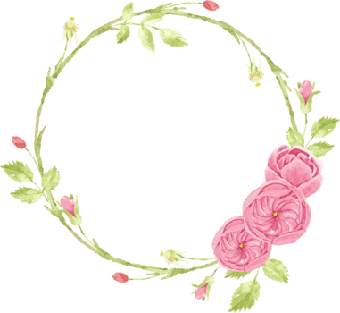 watercolor pink english rose wreath frame png