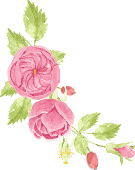watercolor pink rose bouquet wreath frame for banner or logo png