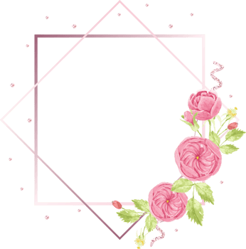 watercolor hand draw pink english rose wreath with geometric frame png