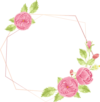 watercolor hand draw pink english rose wreath with geometric frame png