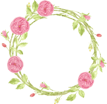 watercolor pink english rose wreath frame png