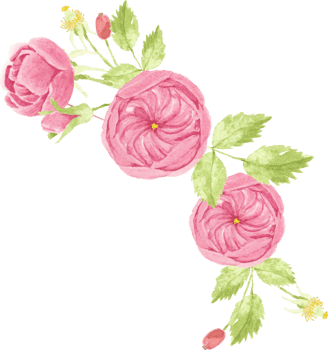 watercolor pink rose bouquet wreath frame for banner or logo png